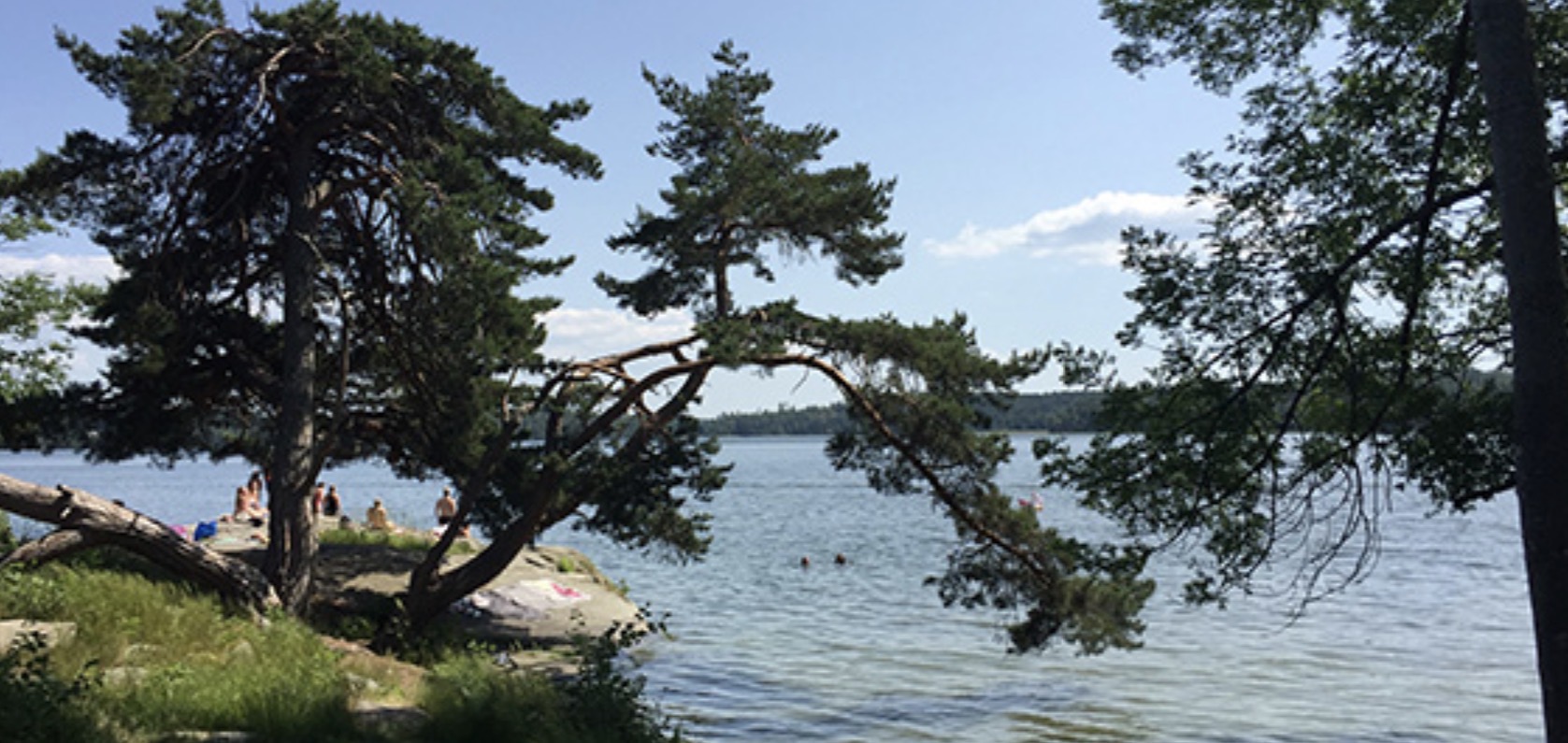 Bad vid Frösundaviks badplats – klippor, tallar och Mälaren
