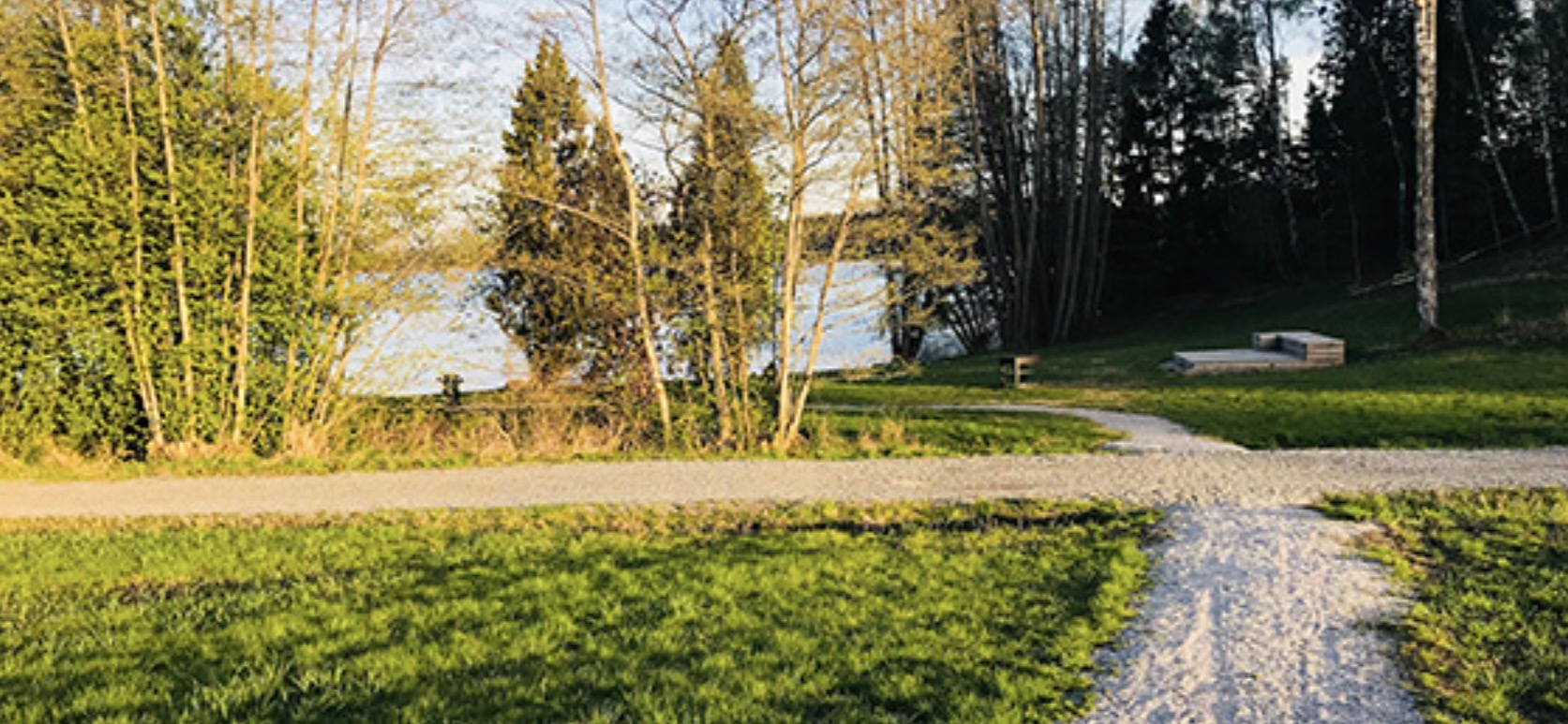 Grusad stig genom gräsmattan mot vattnet i Frösundaviks strandpark
